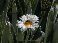 Albums/20060200-New Zealand 2006/20060317-Cook/32